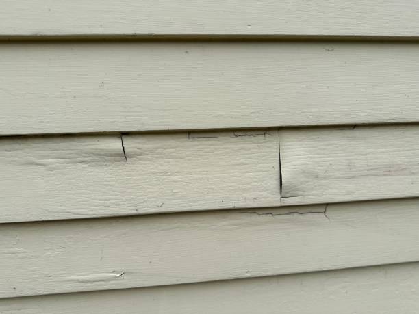 Trusted Greybull, WY Siding Installation & Repair Experts